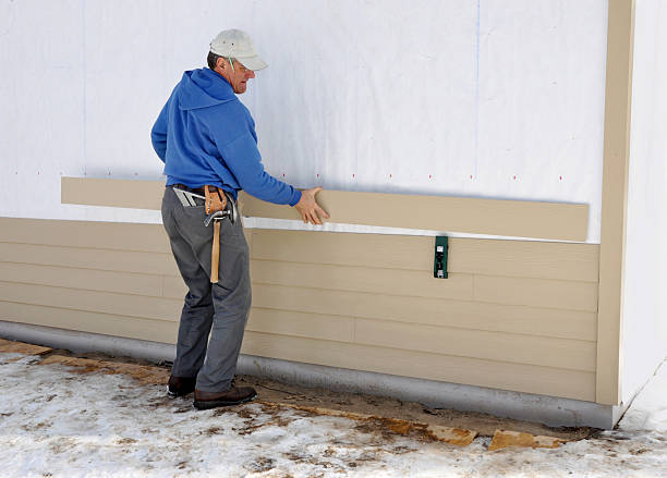 Best Stone Veneer Siding  in Richmond, MI
