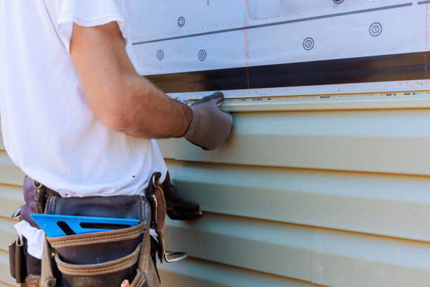 Best Steel Siding Installation  in Richmond, MI